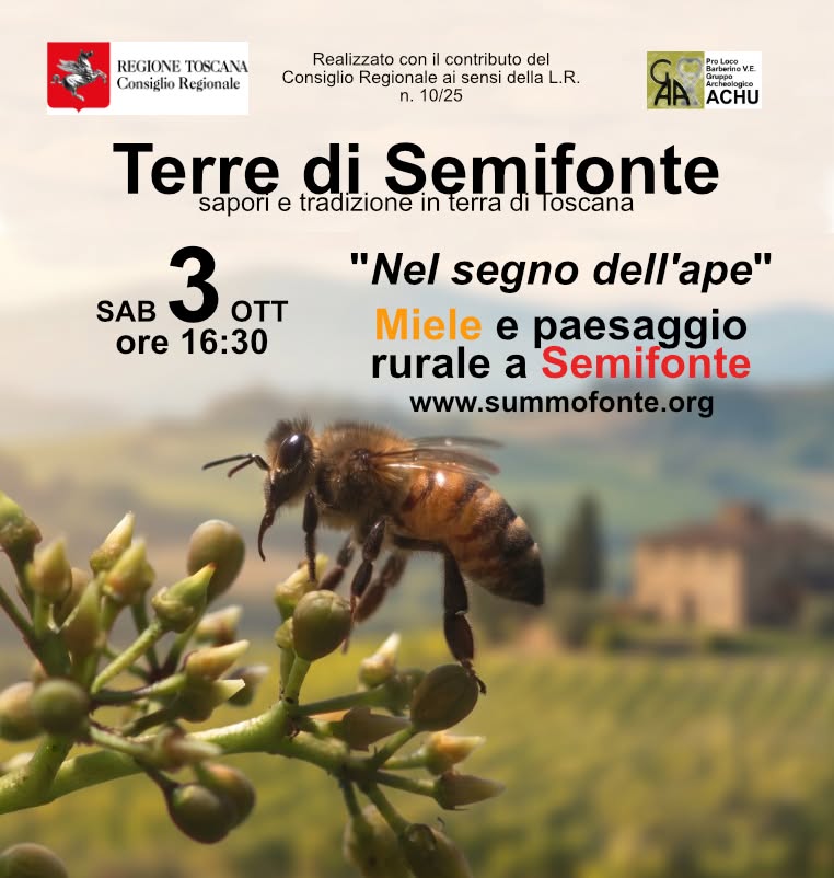 Terre di Semifonte: nel segno dell’ape… il miele